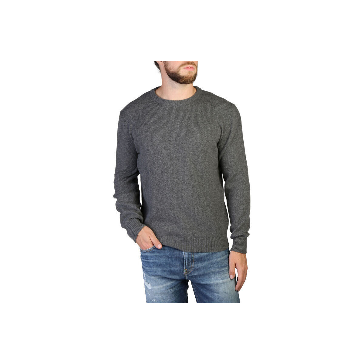 Oblačila Moški Puloverji 100% Cashmere Jersey Siva