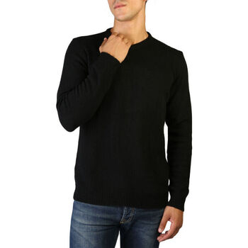 Oblačila Moški Puloverji 100% Cashmere Jersey Črna