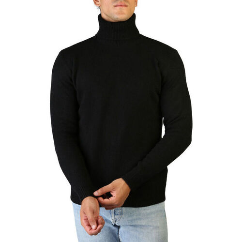 Oblačila Moški Puloverji 100% Cashmere Jersey roll neck Črna
