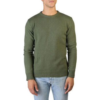 Oblačila Moški Puloverji 100% Cashmere Jersey Zelena