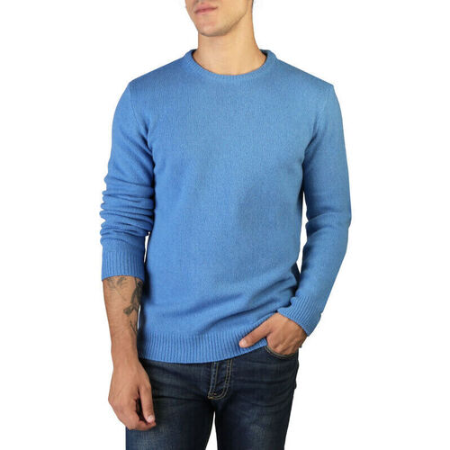 Oblačila Moški Puloverji 100% Cashmere Jersey Modra