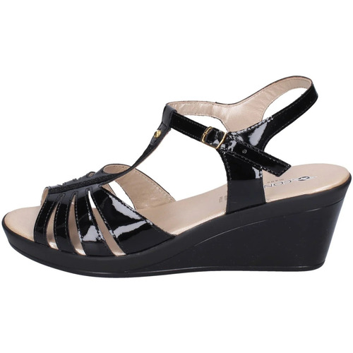 Čevlji  Ženske Sandali & Odprti čevlji Confort EZ432 Črna