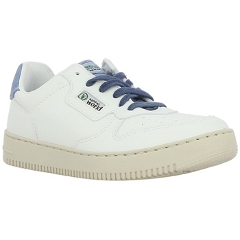 Natural World 8702E  690-CELEST ENZ 8702E Bela