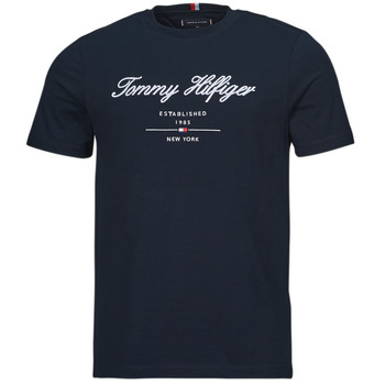 Oblačila Moški Majice s kratkimi rokavi Tommy Hilfiger SCRIPT LOGO TEE         