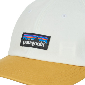 Patagonia P-6 LABEL TRAD CAP Bela / Rjava
