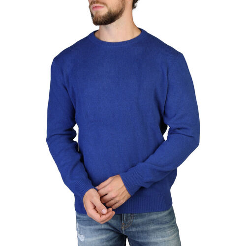 Oblačila Moški Puloverji 100% Cashmere - c-neck-m Modra