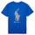 Oblačila Dečki Majice s kratkimi rokavi Polo Ralph Lauren SS CN-KNIT SHIRTS-T-SHIRT Modra