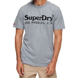 Oblačila Moški Majice s kratkimi rokavi Superdry 223873 Modra