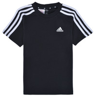 Oblačila Otroci Majice s kratkimi rokavi Adidas Sportswear LK 3S CO TEE Črna / Bela