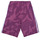 Oblačila Deklice Kratke hlače & Bermuda Adidas Sportswear LK CAMLOG FT SH Vijolična