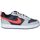 Čevlji  Ženske Šport Nike DV5456-003 Siva
