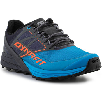 Čevlji  Moški Tek & Trail Dynafit Alpine 64064-0752 Magnet/Frost Večbarvna