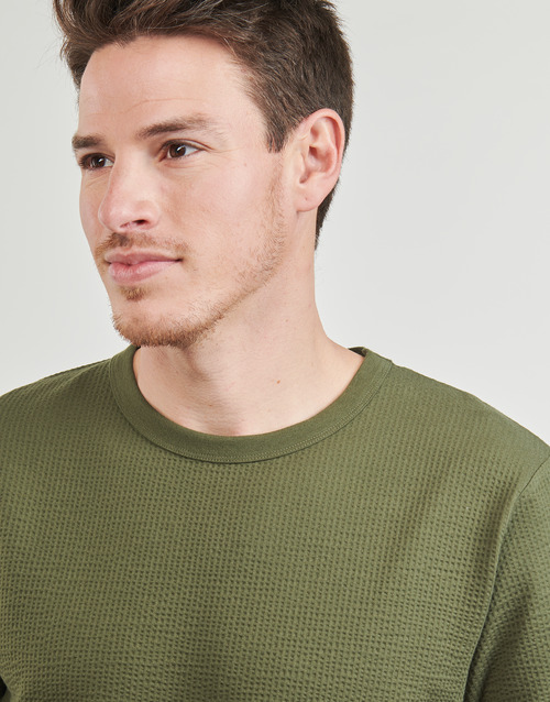 Selected SLHSANDER  Kaki