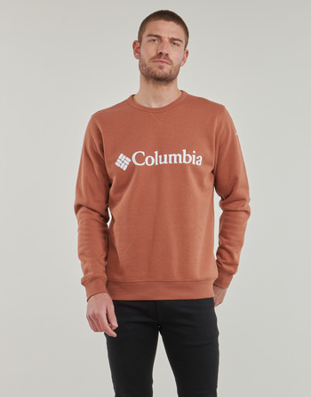 Oblačila Moški Puloverji Columbia CSC Basic Logo II Hoodie Kostanjeva