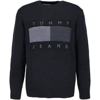 Oblačila Moški Puloverji Tommy Jeans DM0DM17773 Črna