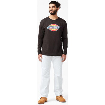 Dickies M relaxed fit cotton painter's pant Bela