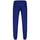 Oblačila Moški Trenirka komplet Le Coq Sportif ESS P24 PANT REGULAR N°1 Modra