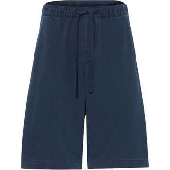 Oblačila Moški Kratke hlače & Bermuda Timberland 227597         