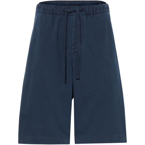 Oblačila Moški Kratke hlače & Bermuda Timberland 227597         