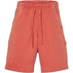 Oblačila Moški Kratke hlače & Bermuda Timberland 227616 Rdeča