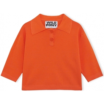 Oblačila Ženske Puloverji Wild Pony Knit 10604 - Orange Oranžna
