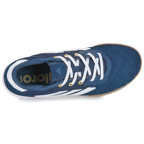 adidas Performance COPA GLORO IN Modra / Bela