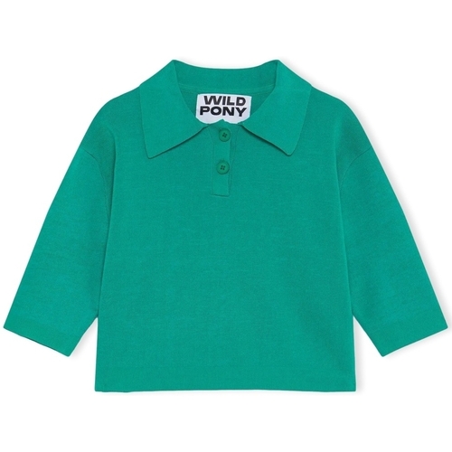 Oblačila Ženske Puloverji Wild Pony Knit 10603 - Green Zelena