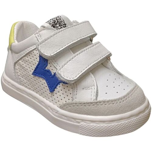 Ciao STAR BABY Večbarvna
