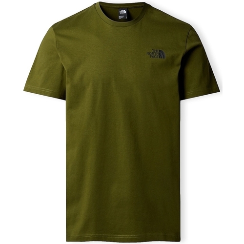 Oblačila Moški Majice & Polo majice The North Face Redbox Celebration T-Shirt - Forest Olive Zelena