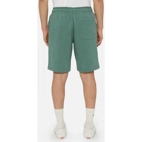 Dickies Mapleton short Zelena