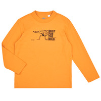 Oblačila Dečki Majice z dolgimi rokavi Timberland TEE-SHIRT MANCHES LONGUES T60301 Rumena / Gorčica