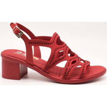 Čevlji  Ženske Sandali & Odprti čevlji 24 Hrs  Rdeča