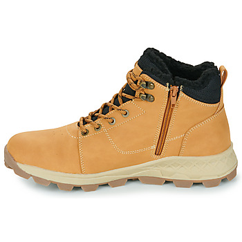 Kangaroos K-TM Bart RV