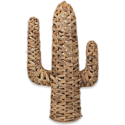Dom Kipci in figurice Signes Grimalt Dekoracija Kaktusov Kostanjeva