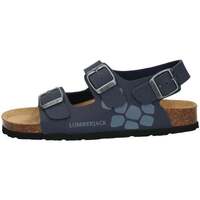 Čevlji  Dečki Sandali & Odprti čevlji Lumberjack  