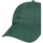 Tekstilni dodatki Moški Kape s šiltom Element Fluky 3.0 Zelena