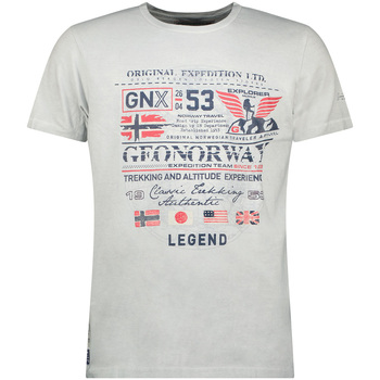 Oblačila Moški Majice s kratkimi rokavi Geo Norway SW1562HGNO-LIGHT GREY Siva