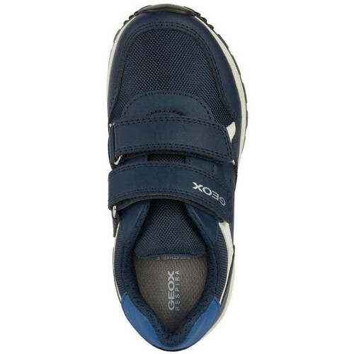Geox  Modra