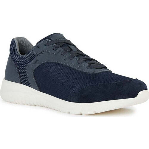 Geox  Modra