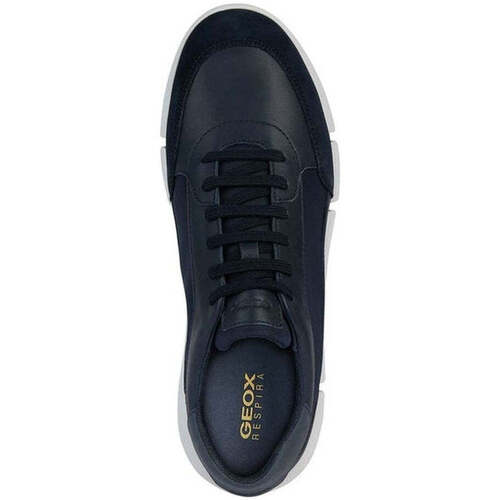 Geox  Modra