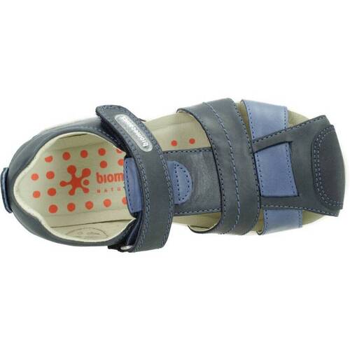 Biomecanics 232258B Modra