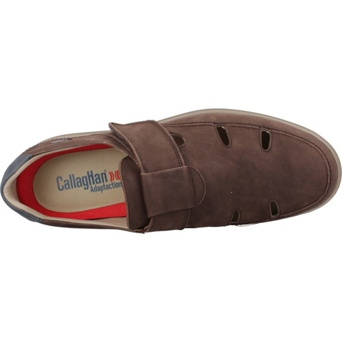 CallagHan 46802C Kostanjeva