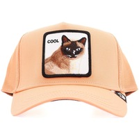 Tekstilni dodatki Moški Kape s šiltom Goorin Bros COOL CAT Oranžna