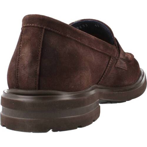Fluchos BELGAS F0633 Kostanjeva