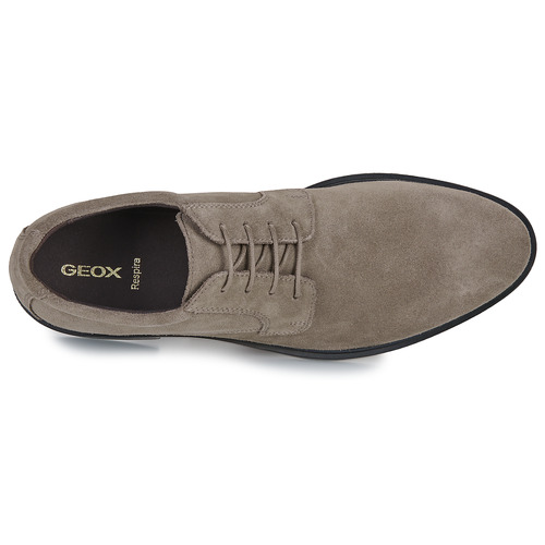 Geox U GLADWIN Siva