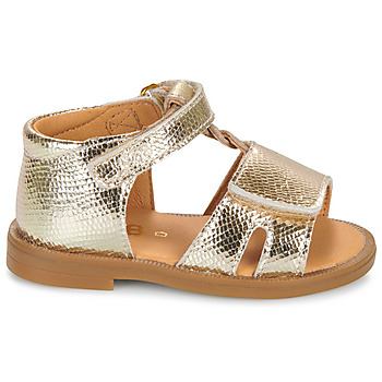 GBB LORIE*