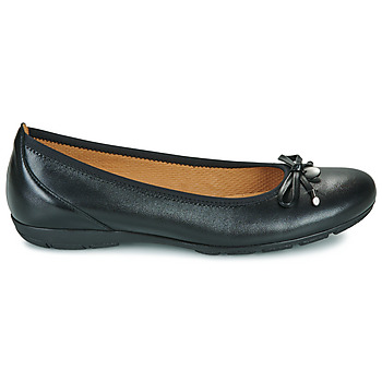 Gabor 4164