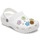 Dodatki  Dodatki  Crocs Enlighten Flower 5 Pack Večbarvna