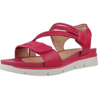 Čevlji  Ženske Sandali & Odprti čevlji Stonefly ELODY 23 ELASTIC/NAPPA LTH Rožnata