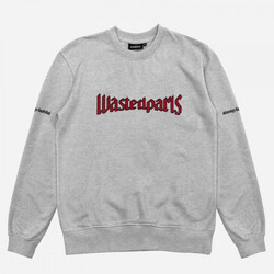 Oblačila Moški Puloverji Wasted United crew neck Siva